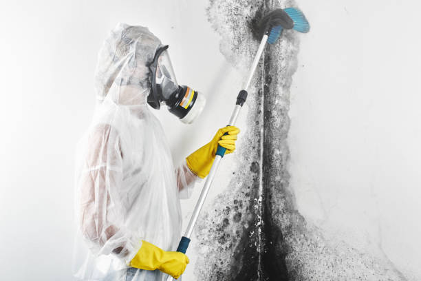 Best Mold Prevention Services  in Joseph, OR