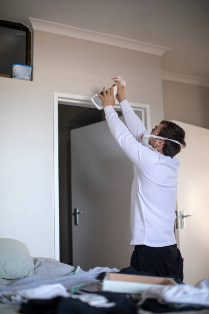 Mold Remediation for Vacation Homes in Joseph, OR