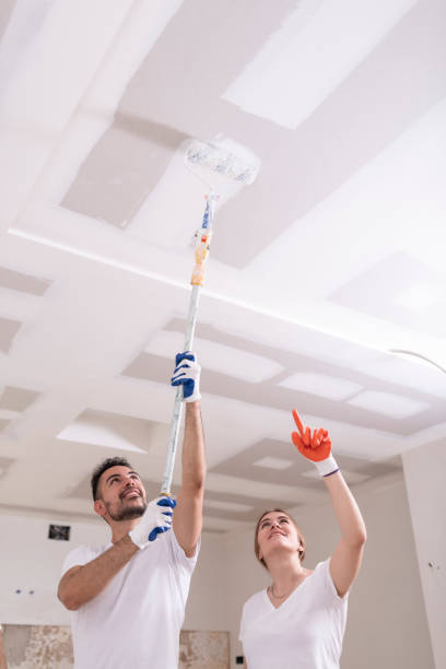 Best Basement Mold Removal  in Joseph, OR